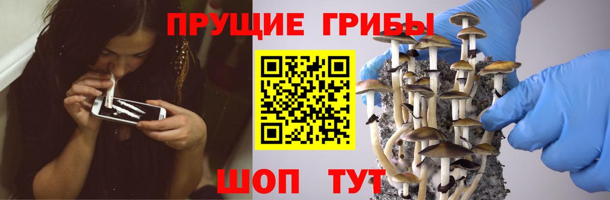 Ярцево  Псилоцибиновые грибы Psilocybine cubensis  Вход с VPN  где купить наркотик  Галлюциногенные грибы ЛСД 